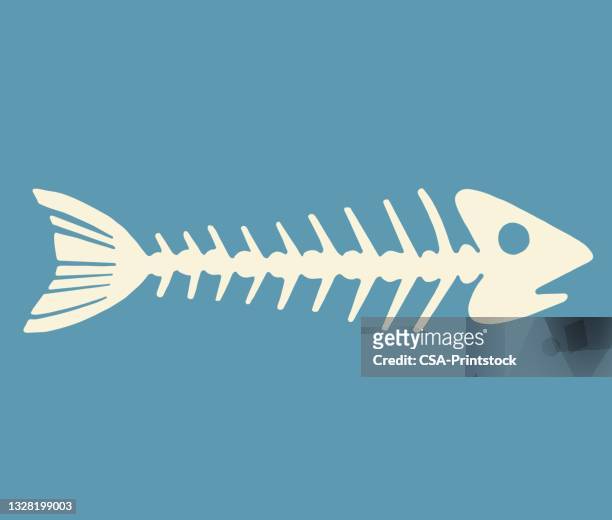 fish skeleton - seafood logo stock illustrations