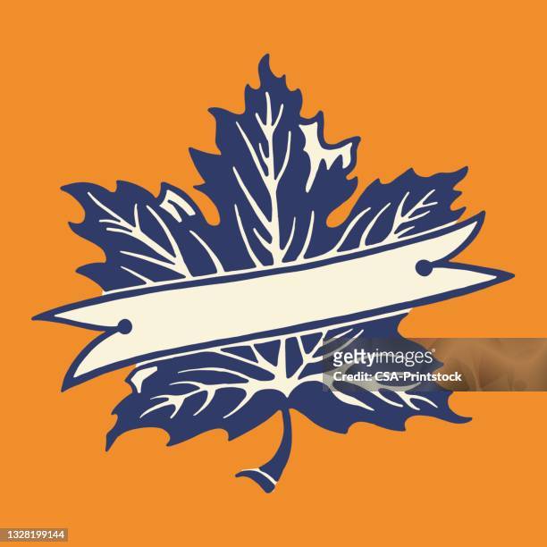maple leaf and banner - maple tree stock illustrations