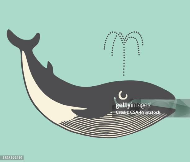 whale - whale tail illustration stock illustrations