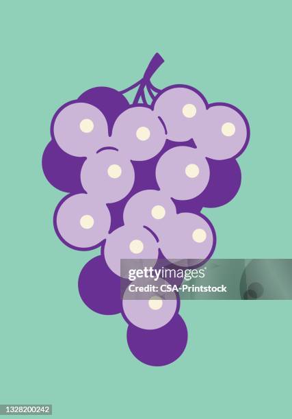bunch of grapes - bunch stock illustrations