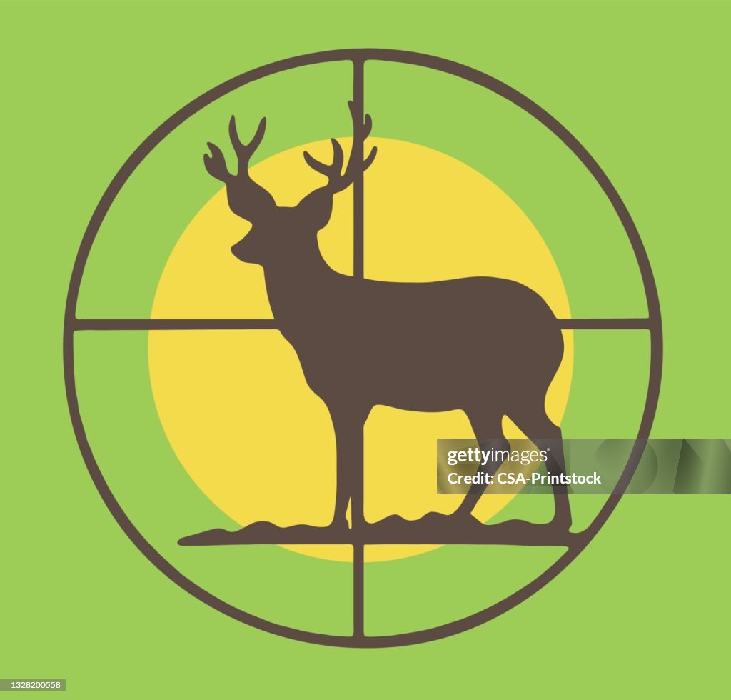 Deer in Crosshairs