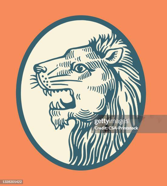 lion - lion head illustration stock illustrations