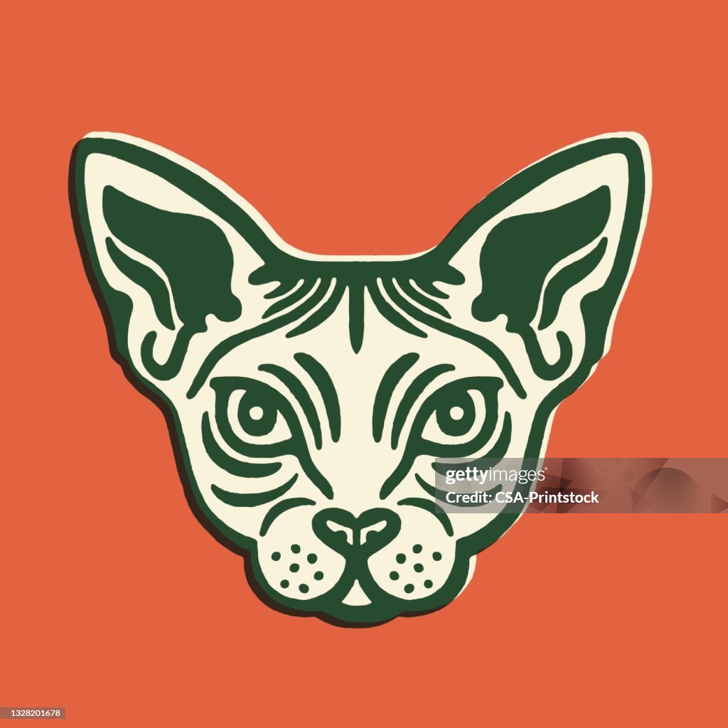Face of a Cat