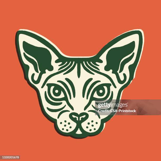 face of a cat - pure bred cat stock illustrations