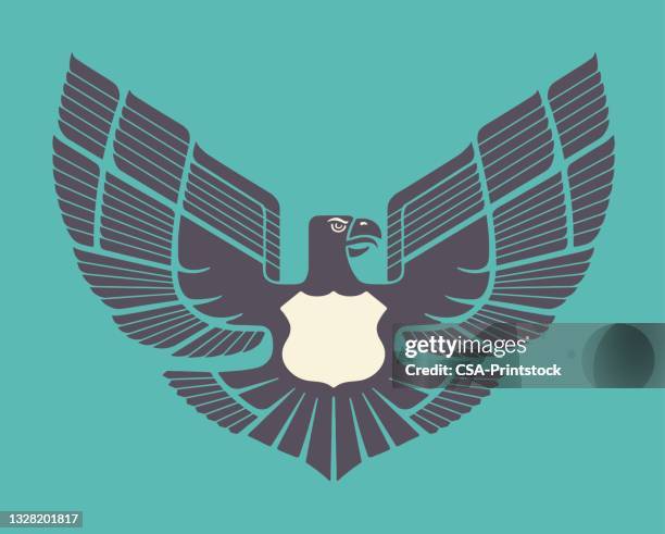 eagle - bald eagle wings stock illustrations