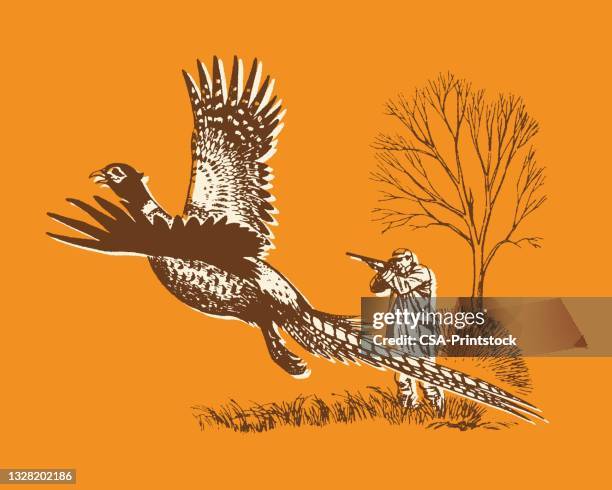 view of hunter shooting to flying pheasant - pheasant stock illustrations
