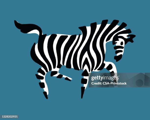 bildbanksillustrationer, clip art samt tecknat material och ikoner med illustration of zebra - zebra