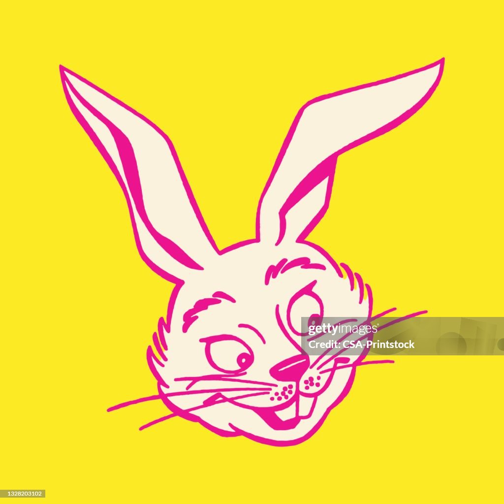 Vector Illustration Rabbit Illustration Of Rabbit High-Res Vector Graphic - Getty Images