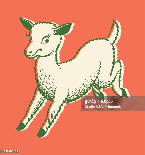 illustration of lamb - sheep stock illustrations