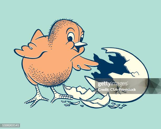 illustration of chick - young bird stock illustrations