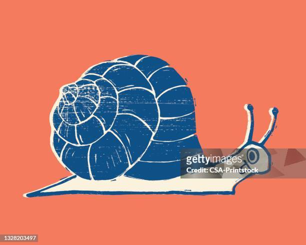 illustration of cartoon snail - cartoon snail stock illustrations