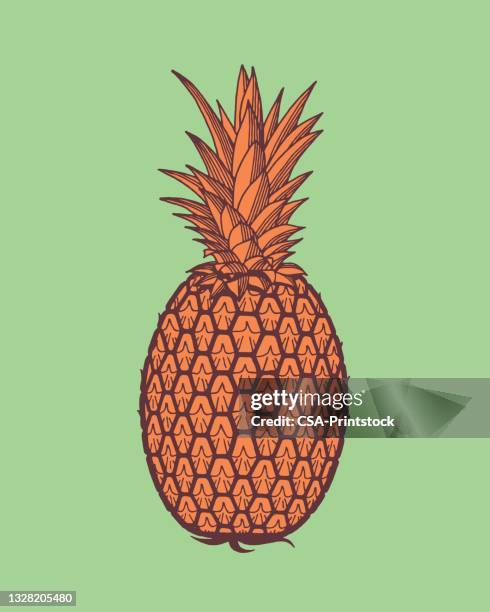 illustrations, cliparts, dessins animés et icônes de illustration de l’ananas sur fond blanc - fruit exotique