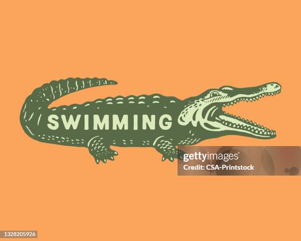 ilustraciones, imágenes clip art, dibujos animados e iconos de stock de ilustración de cocodrilo con texto de natación escrito en él - alligator