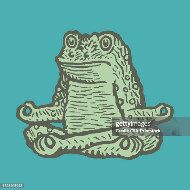 386点のcrazy Frogのストックフォト Getty Images 386点のcrazy Frogのストックフォト Getty Images