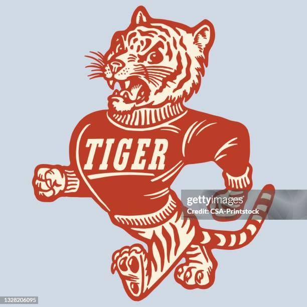 view of cartoon tiger - team mascot - talisman stock illustrations