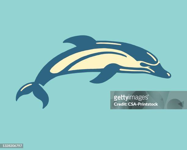 dolphin - delfin stock-grafiken, -clipart, -cartoons und -symbole