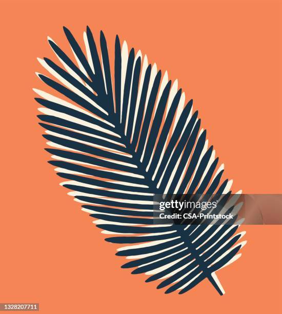 pine bough - pine needles stock illustrations