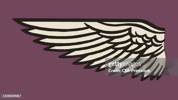 wing - wings stock illustrations