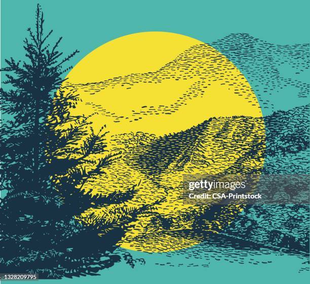 mountain landscape - pine forest stock illustrations