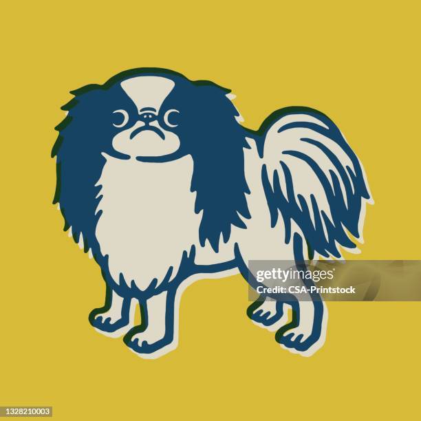 26点のパピヨンイラスト素材 Getty Images 26点のパピヨンイラスト素材 Getty Images