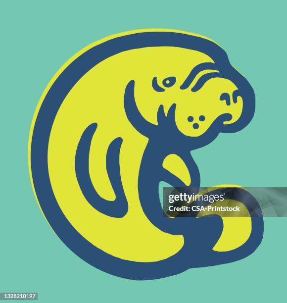 walrus - walrus stock illustrations