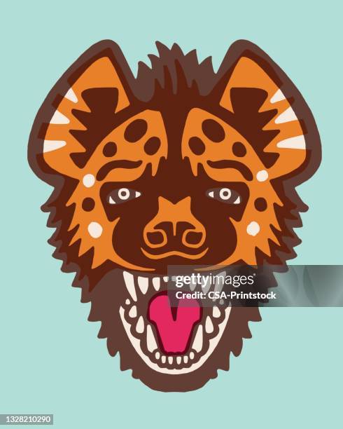 hyena face - hyena stock-grafiken, -clipart, -cartoons und -symbole