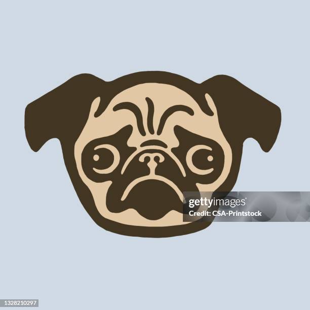 pug dog face - pug stock illustrations