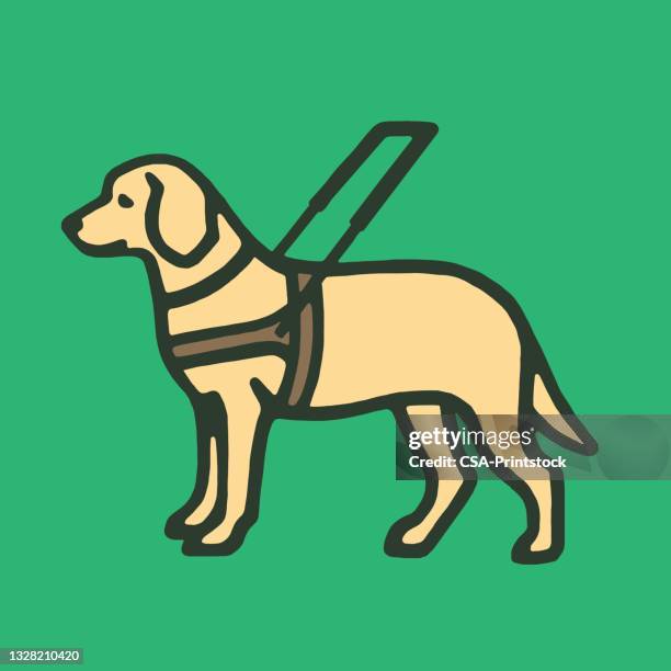 seeing eye dog - seeing eye dog stock illustrations