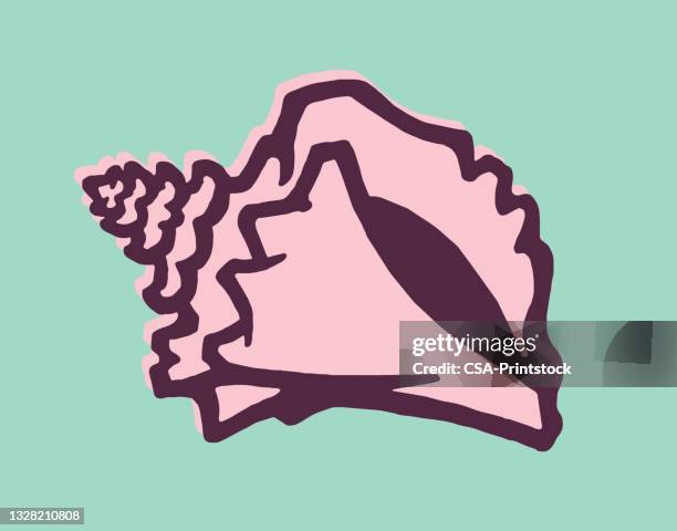 ilustrações de stock, clip art, desenhos animados e ícones de seashell - buzios