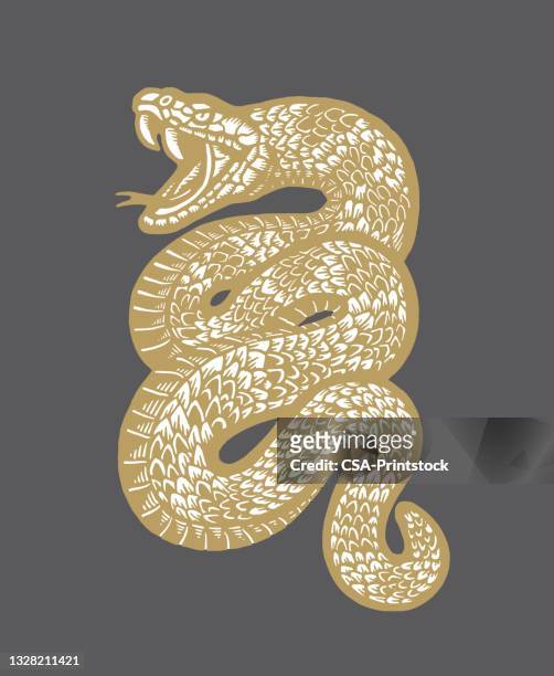 stockillustraties, clipart, cartoons en iconen met snake - viper