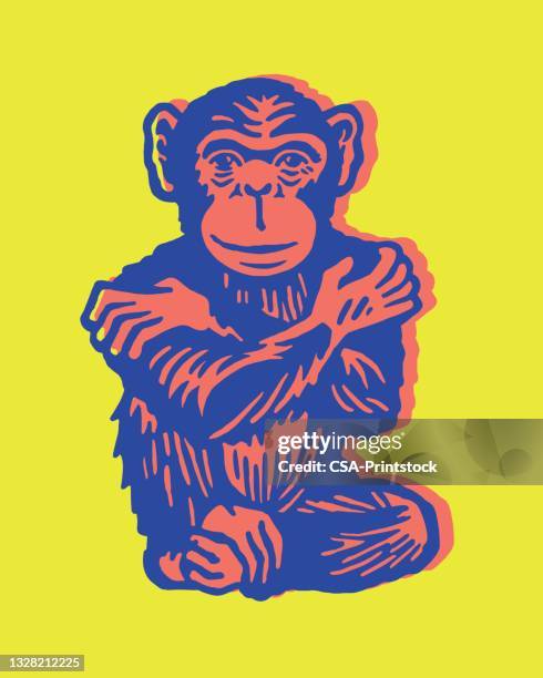 illustrazioni stock, clip art, cartoni animati e icone di tendenza di scimpanzé che si abbraccia - scimmia