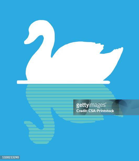swan and reflection - lake logo stock illustrations