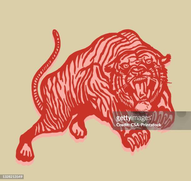 tiger - wildcat mascot stock illustrations