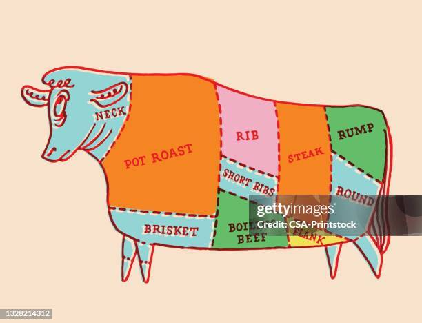 cuts of beef - raw beef stock illustrations