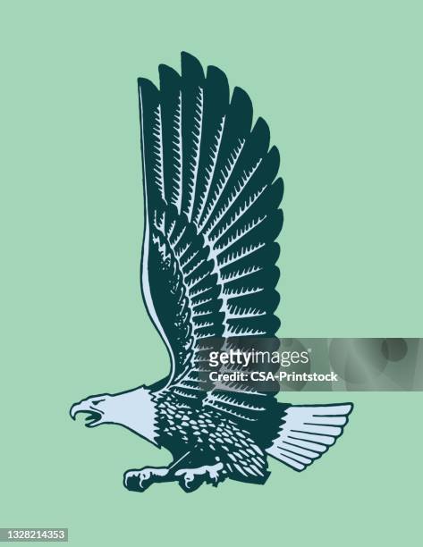 soon eagle - talon stock illustrations
