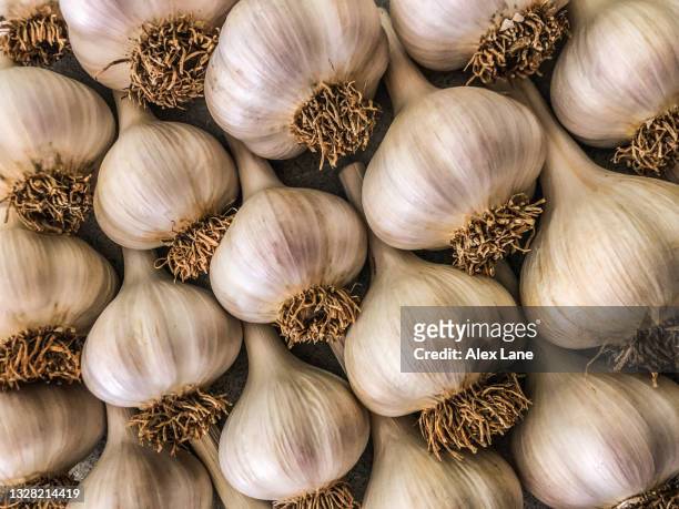 fresh garlic al carte - garlic stockfoto's en -beelden