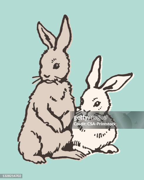 273 Two Rabbits High Res Illustrations - Getty Images