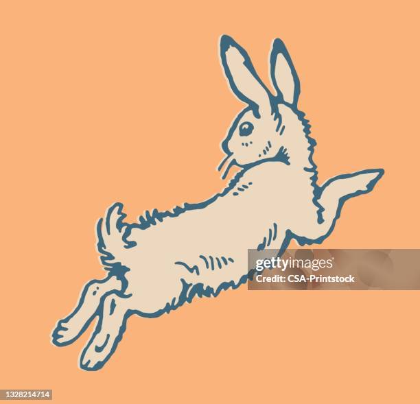 rabbit - rabbit jump stock illustrations