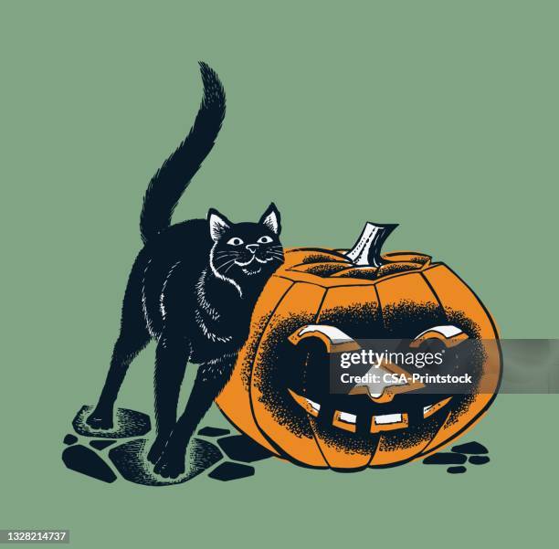 ilustraciones, imágenes clip art, dibujos animados e iconos de stock de gato negro y calabaza tallada - pumpkin cats