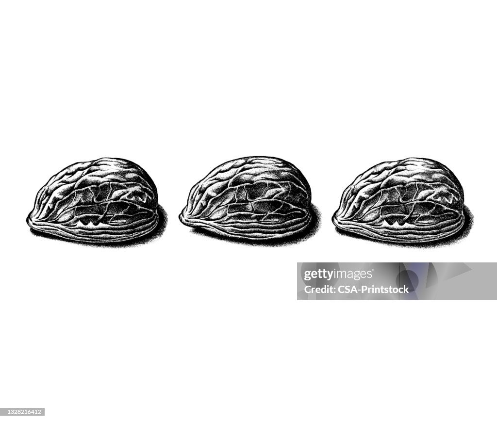 Three Shells Infographic Three Nut Shells High-Res Vector Graphic - Getty Images
