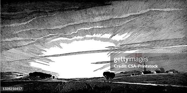 sunrise on landscape - sunrise fort lauderdale stock illustrations