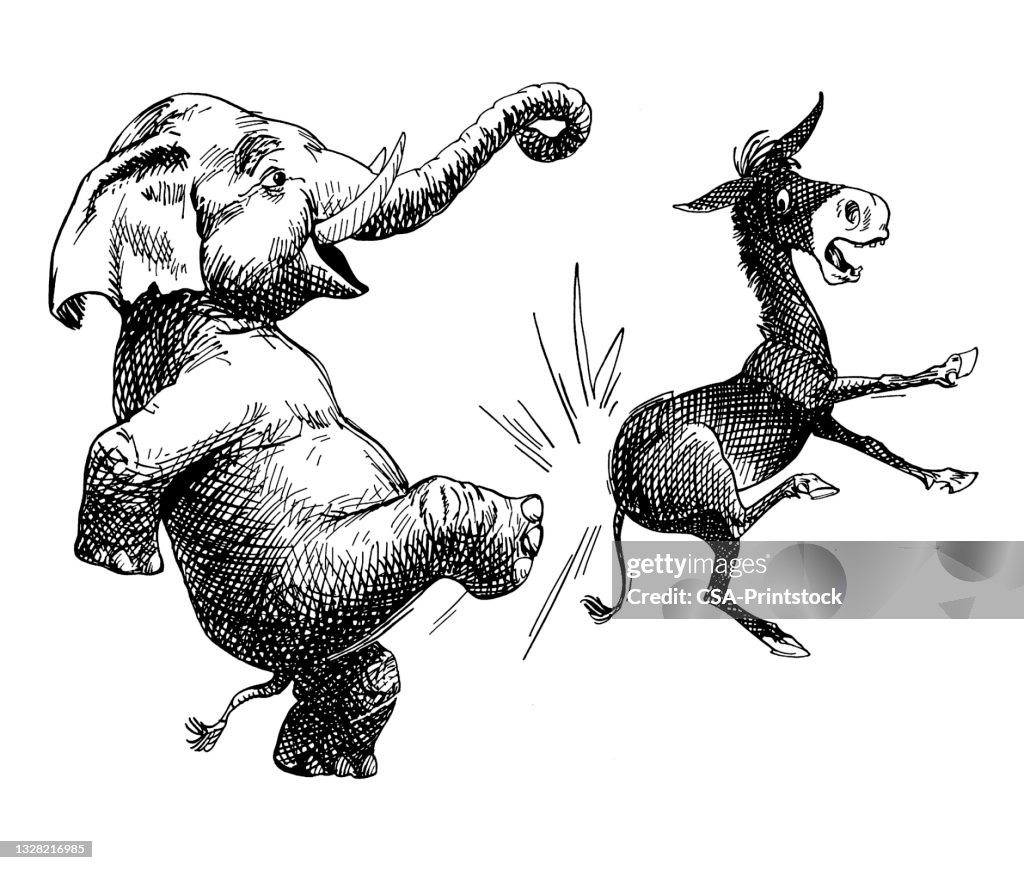 Elephant Kicking Donkey