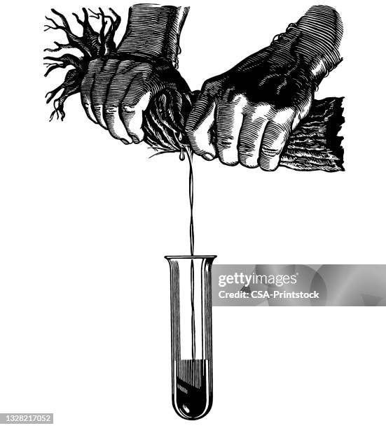 221 Blood Root Stock Photos, High-Res Pictures, and Images - Getty Images