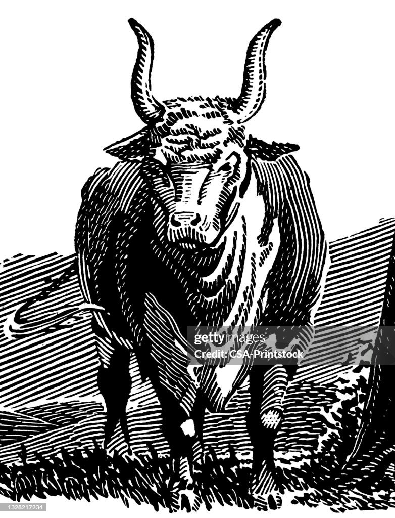Bull mit Hörnern