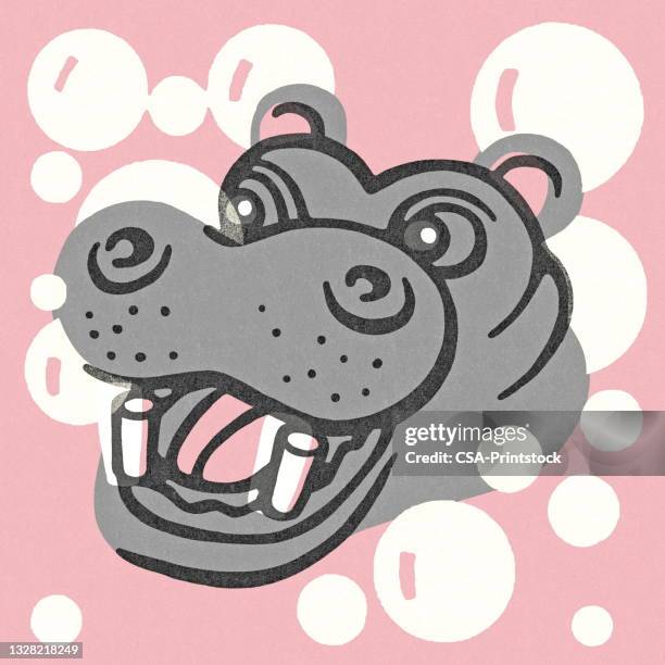 ilustrações, clipart, desenhos animados e ícones de hipopótamo - hippopotamus