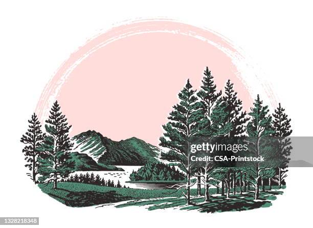 ilustraciones, imágenes clip art, dibujos animados e iconos de stock de escena del paisaje - abeto picea