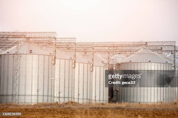 agricultural silo at feed mill factory. big tank for store grain in feed manufacturing. - corncob towers stock pictures, royalty-free photos & images
