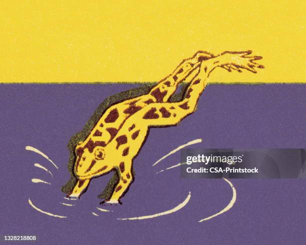 diving frog - jumping into pool stock illustrations