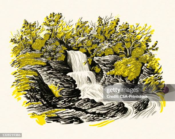 stockillustraties, clipart, cartoons en iconen met waterfall - waterval