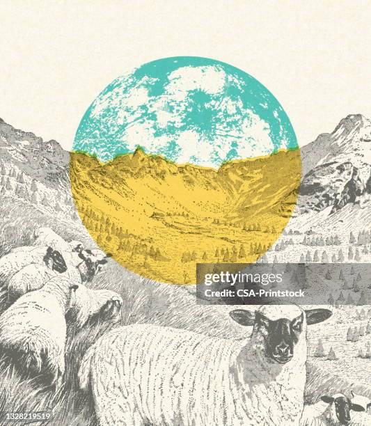 sheep in a pasture on earth - sheep stock illustrations